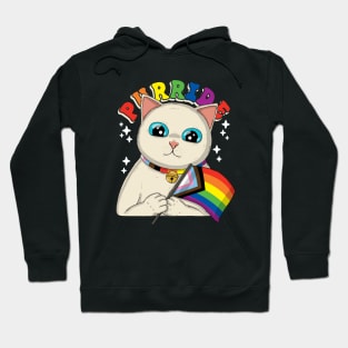 Purride Cat With Progress Pride Flag Hoodie